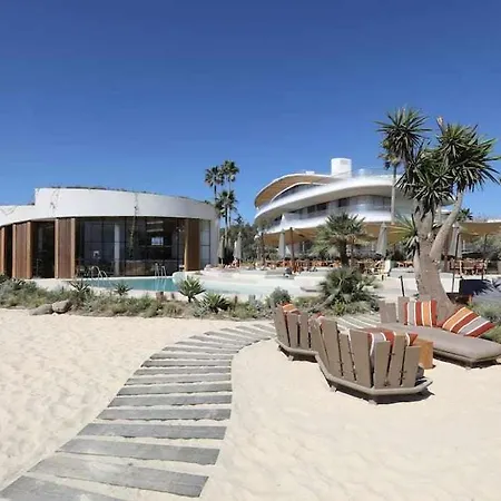 Theedgebythesea Palm Tree Apartment